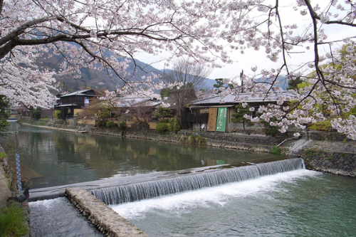 10-2-201722-82784849-2466-1486694065