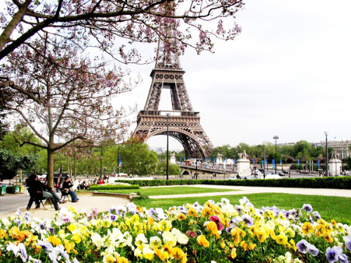 10-2-20178-4382-1486694066